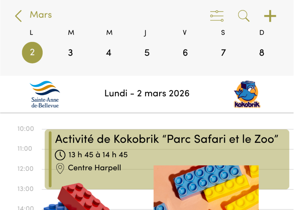 Kokobrik - Parc Safari et le Zoo 