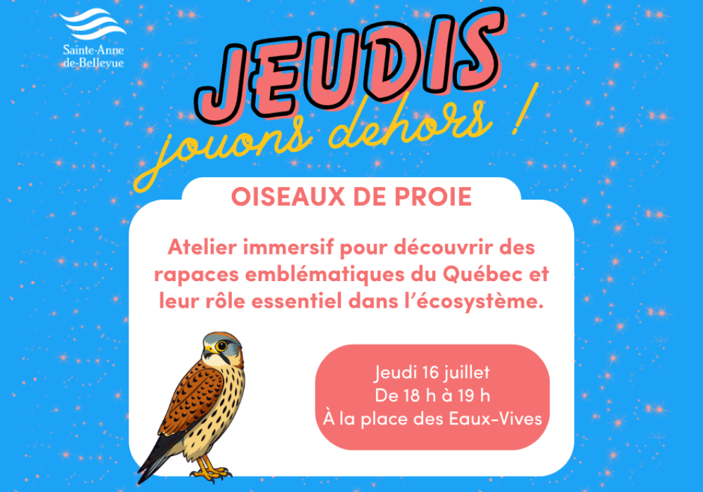 Jeudis Jouons Dehors : Oiseaux de proie
