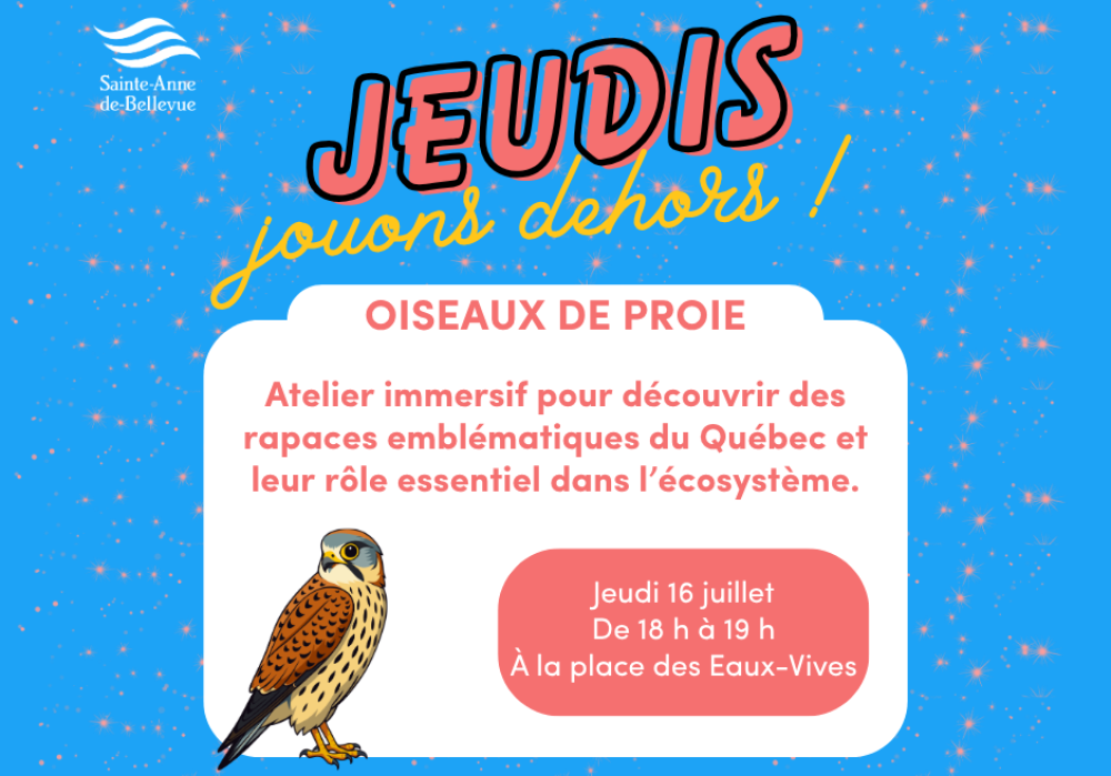 Jeudis Jouons Dehors : Oiseaux de proie