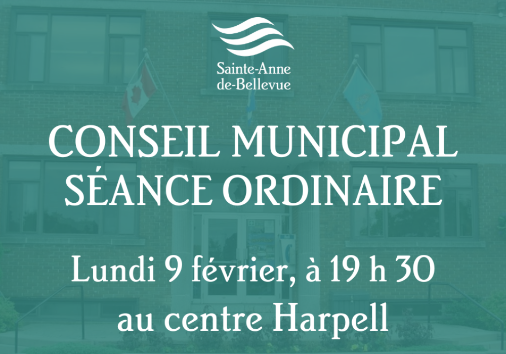 Conseil municipal : séance ordinaire 