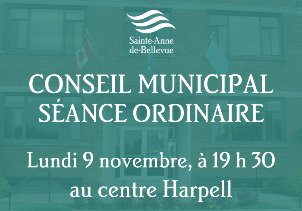 Conseil municipal : séance ordinaire