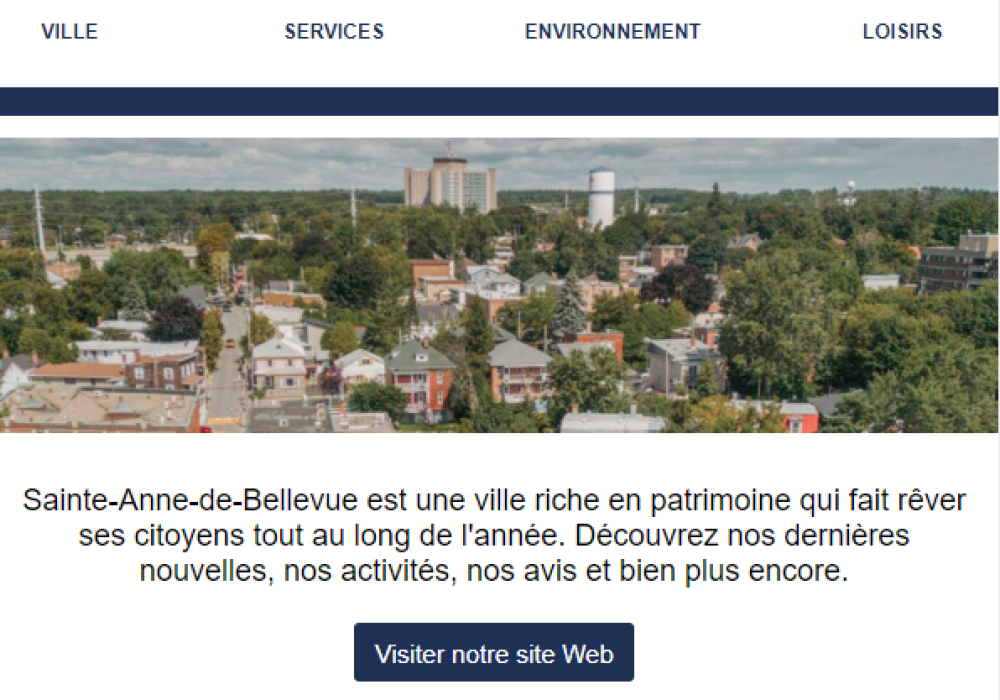 Infolettre des actualit&eacute;s du mois de novembre 2024