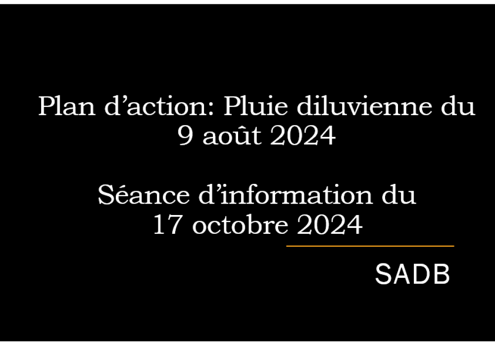 Présentation de la séance d’information du 17 octobre 2024