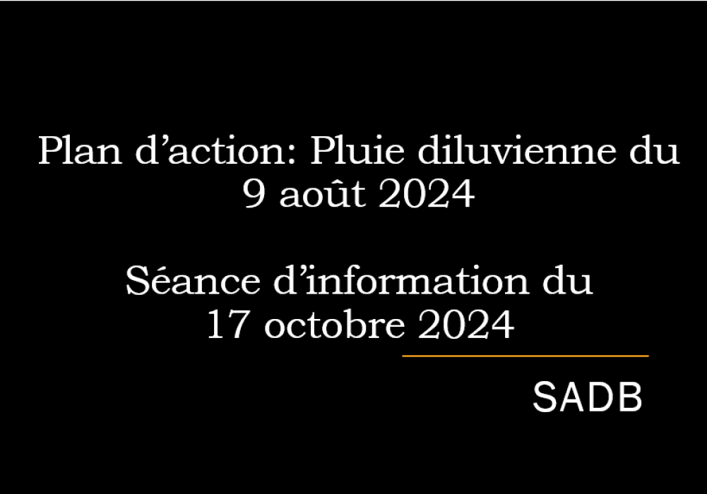 Presentation from the information session on October 17, 2024