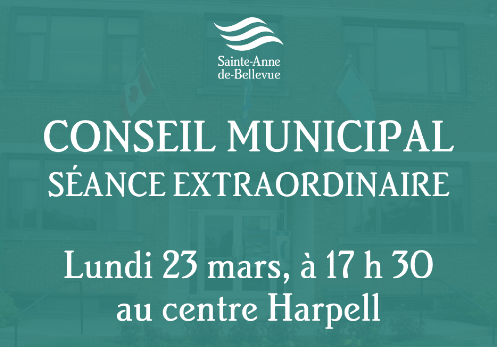 Conseil municipal : s&eacute;ance extraordinaire du 23 mars