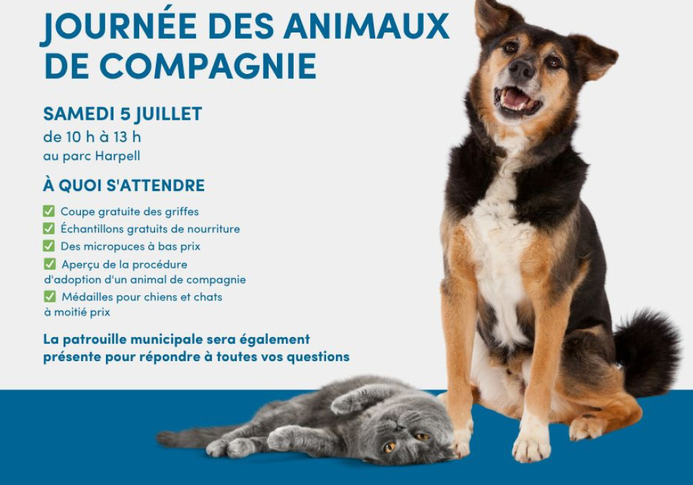 Journée des animaux de compagnie !