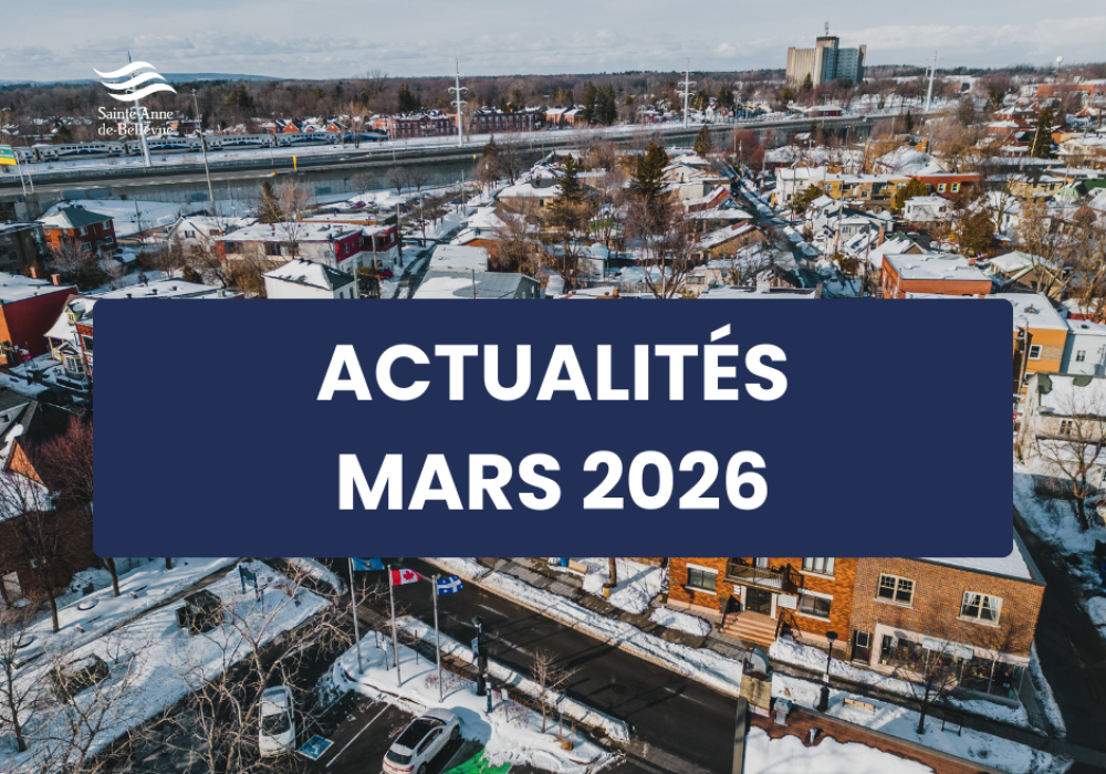 Infolettre des actualit&eacute;s du mois de mars 2026