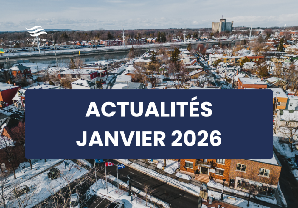 Infolettre des actualit&eacute;s du mois de janvier 2026