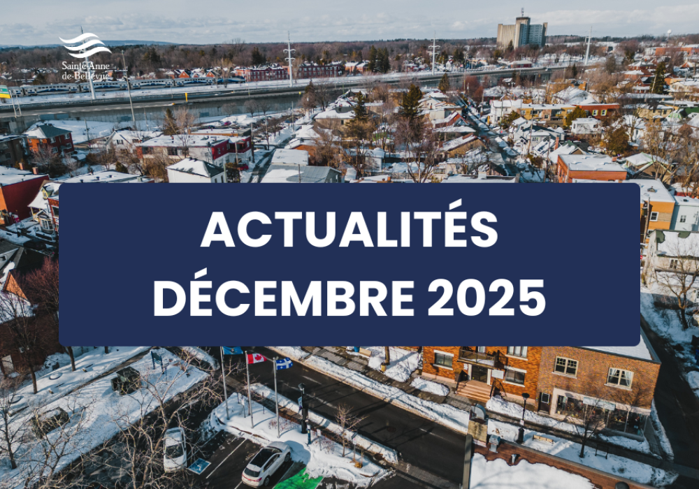 Infolettre des actualit&eacute;s du mois de d&eacute;cembre 2025