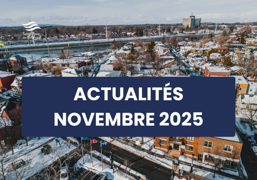 Infolettre des actualités du mois de novembre 2025