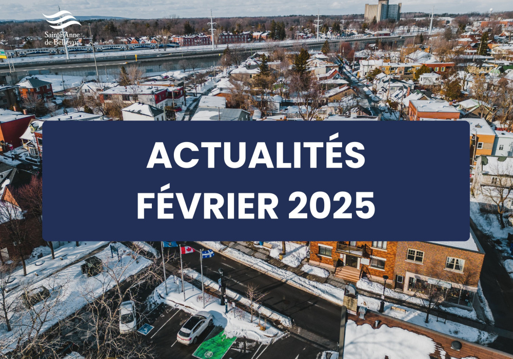 Infolettre des actualités du mois de février 2025