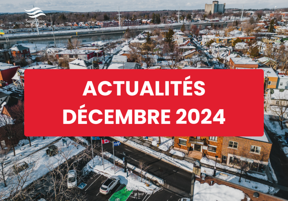 Infolettre des actualités du mois de décembre 2024