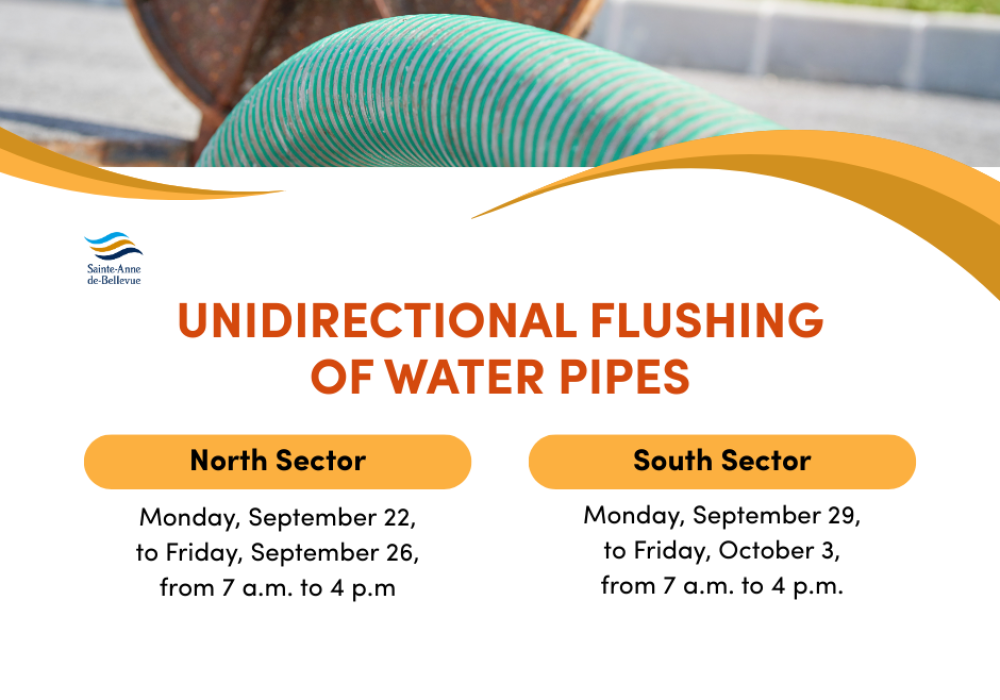 Unidirectional flushing of water pipes