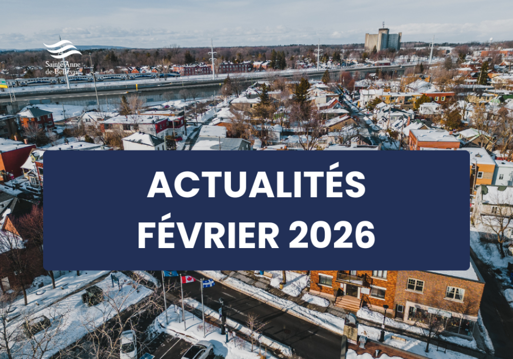 Infolettre des actualit&eacute;s du mois de f&eacute;vrier 2026